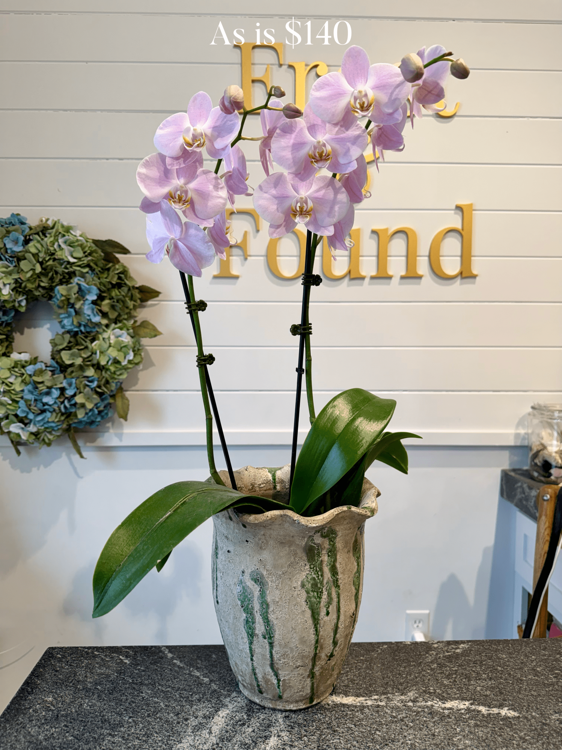 Sustainable Arrangements - Image 15