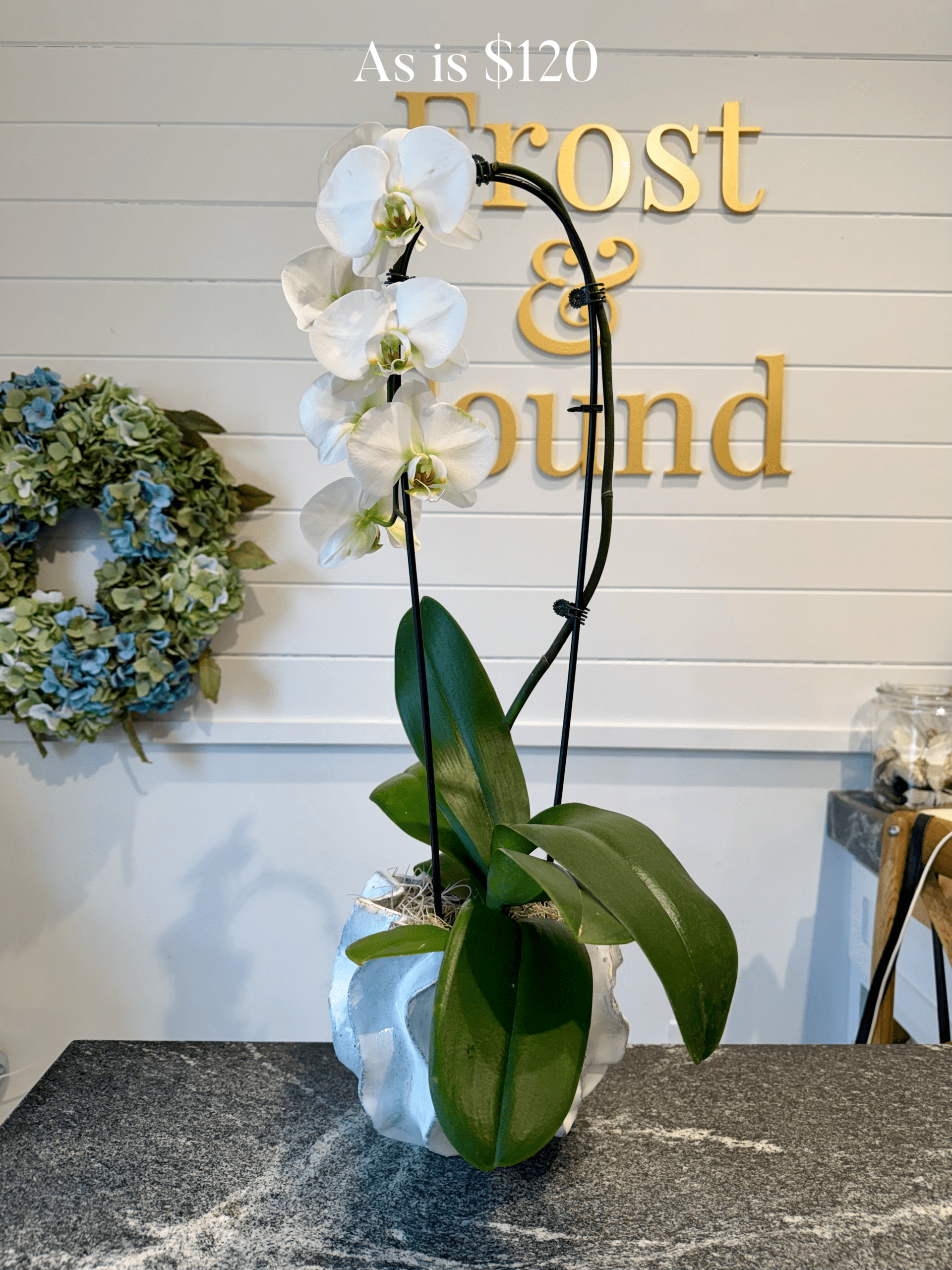 Sustainable Arrangements - Image 4