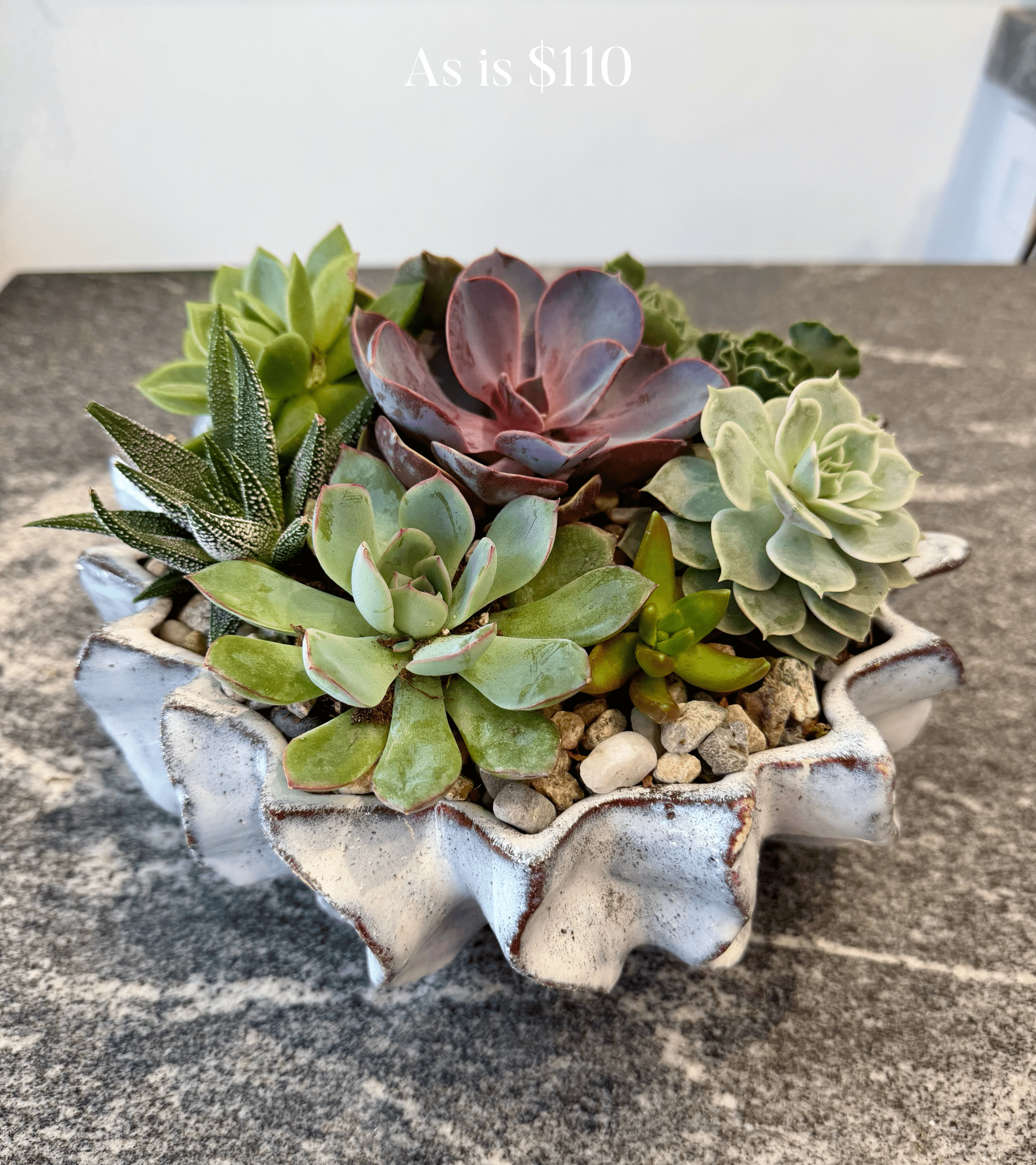 Sustainable Arrangements - Image 2