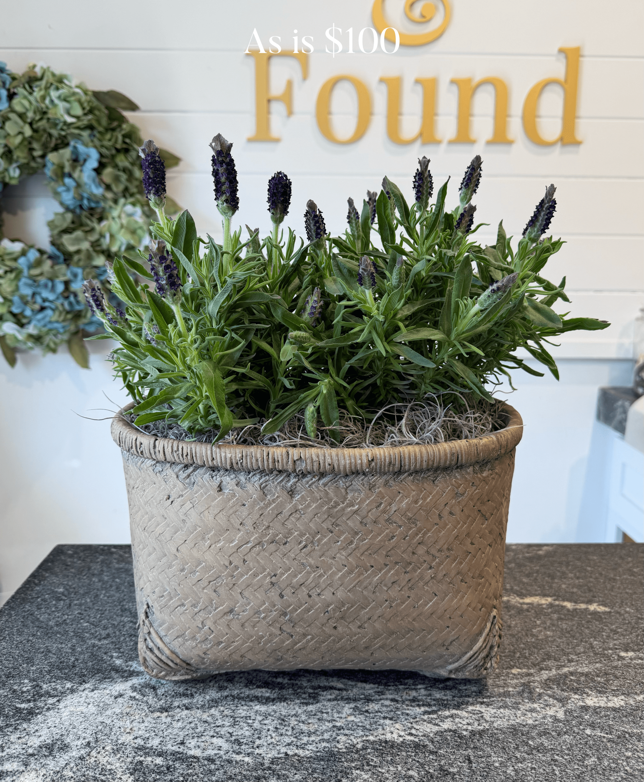 Sustainable Arrangements - Image 3