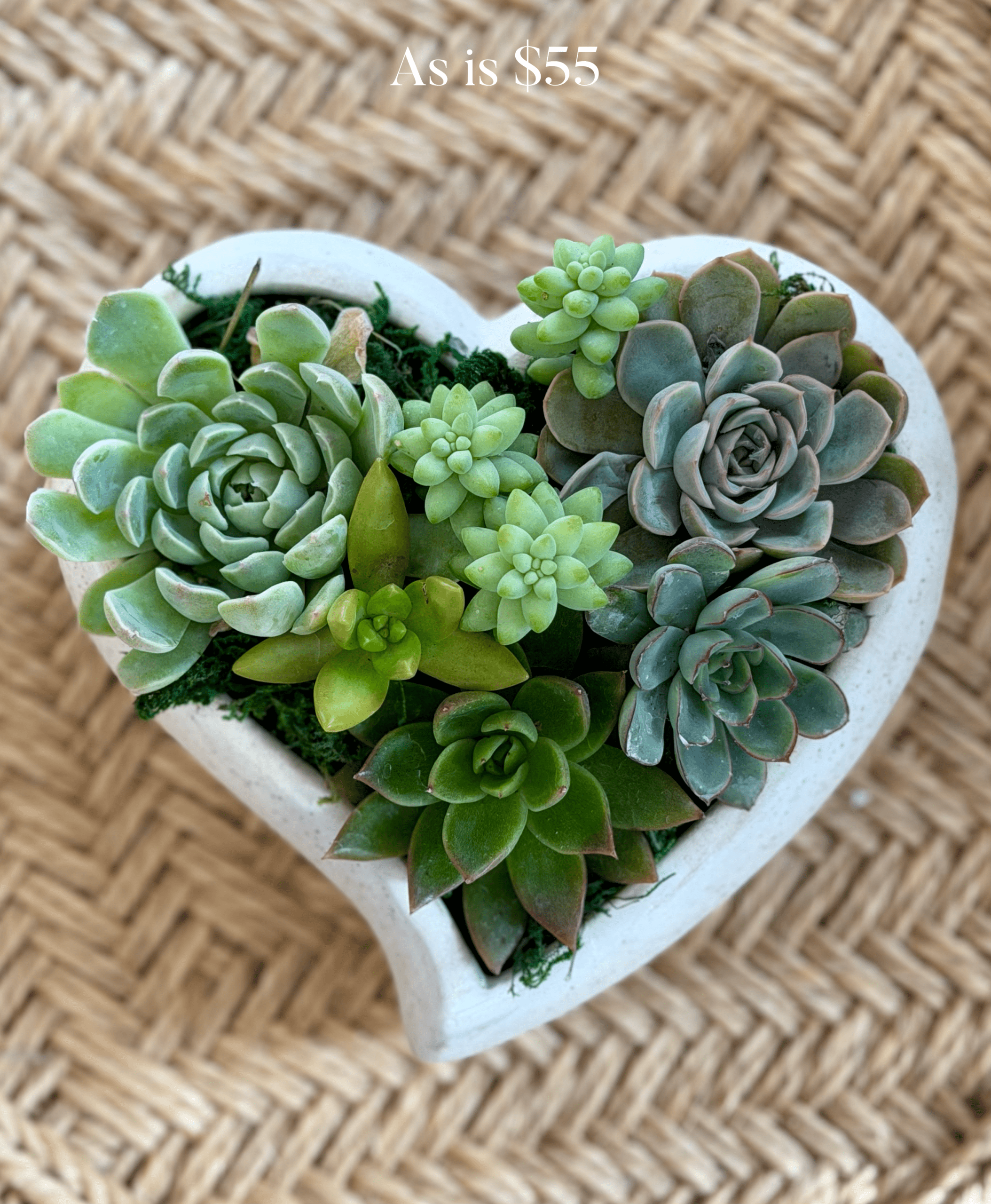 Sustainable Arrangements - Image 7