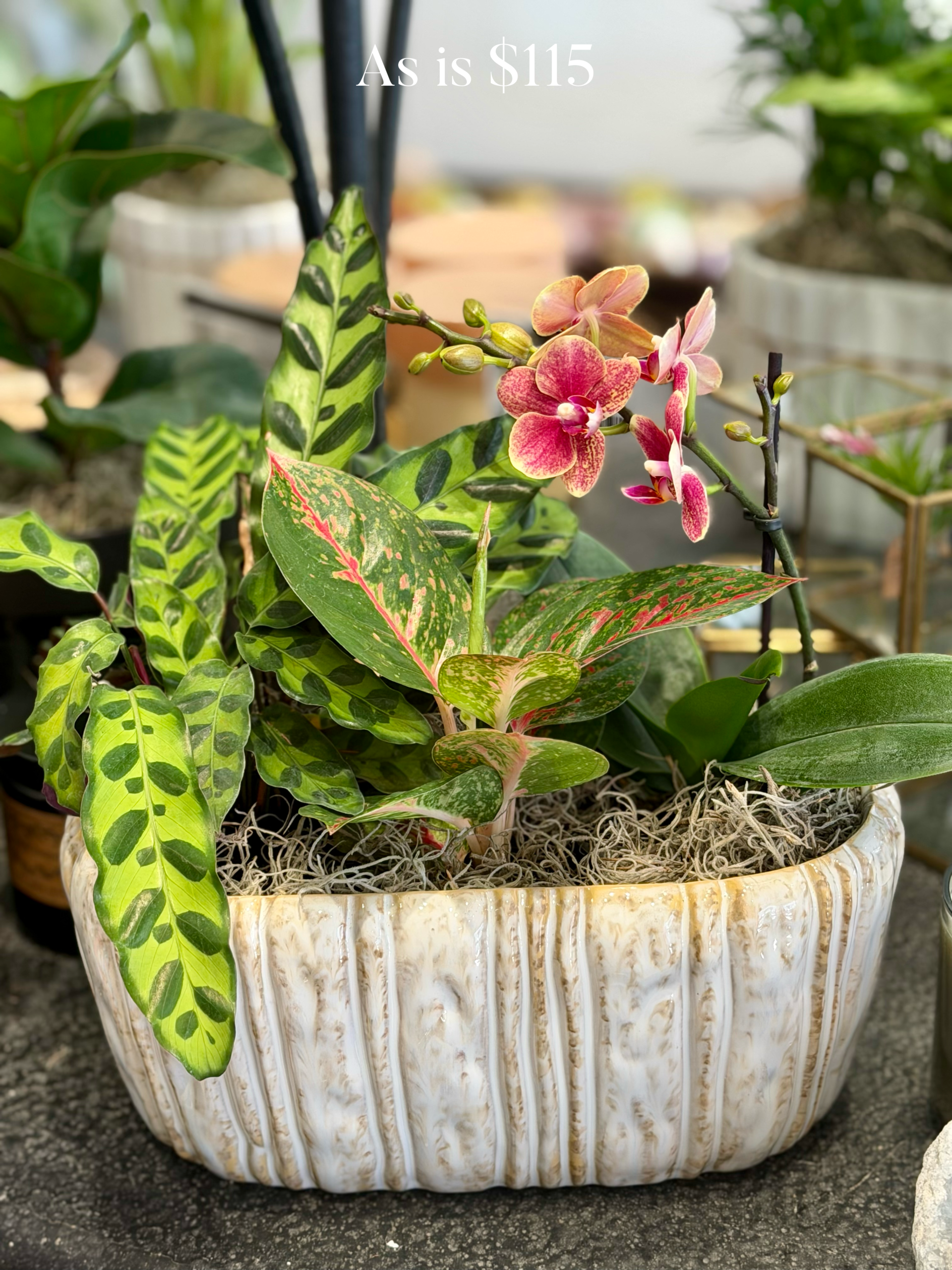 Sustainable Arrangements - Image 14